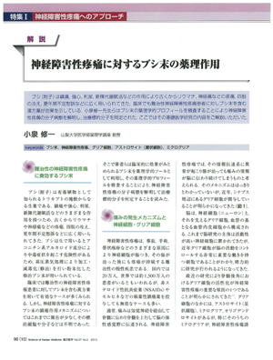 漢方医学、「神経障害性疼痛に対するブシ末の薬理作用」